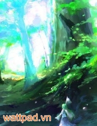 The Lost Song Of Light Forest